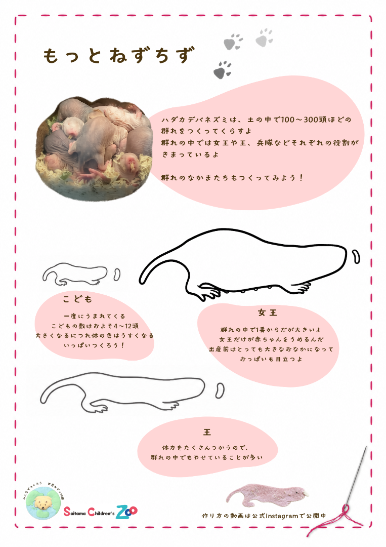 もっとねずちず