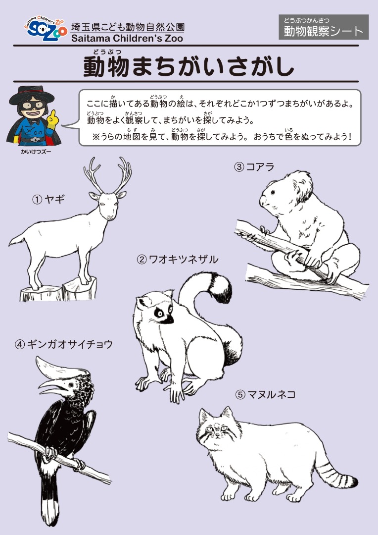 動物まちがいさがし