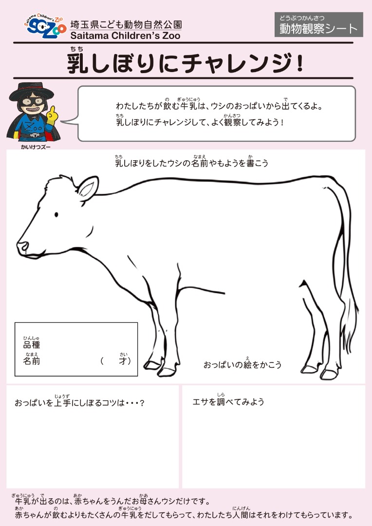乳しぼりにチャレンジ