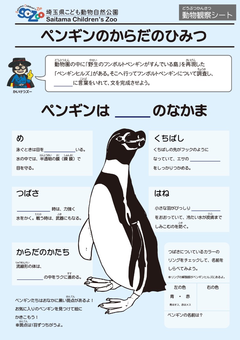 ペンギンのからだのひみつ