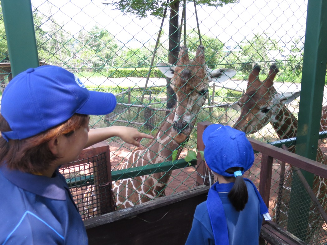 キャプション(編集は画像ボタンから) 飼育チャレンジ