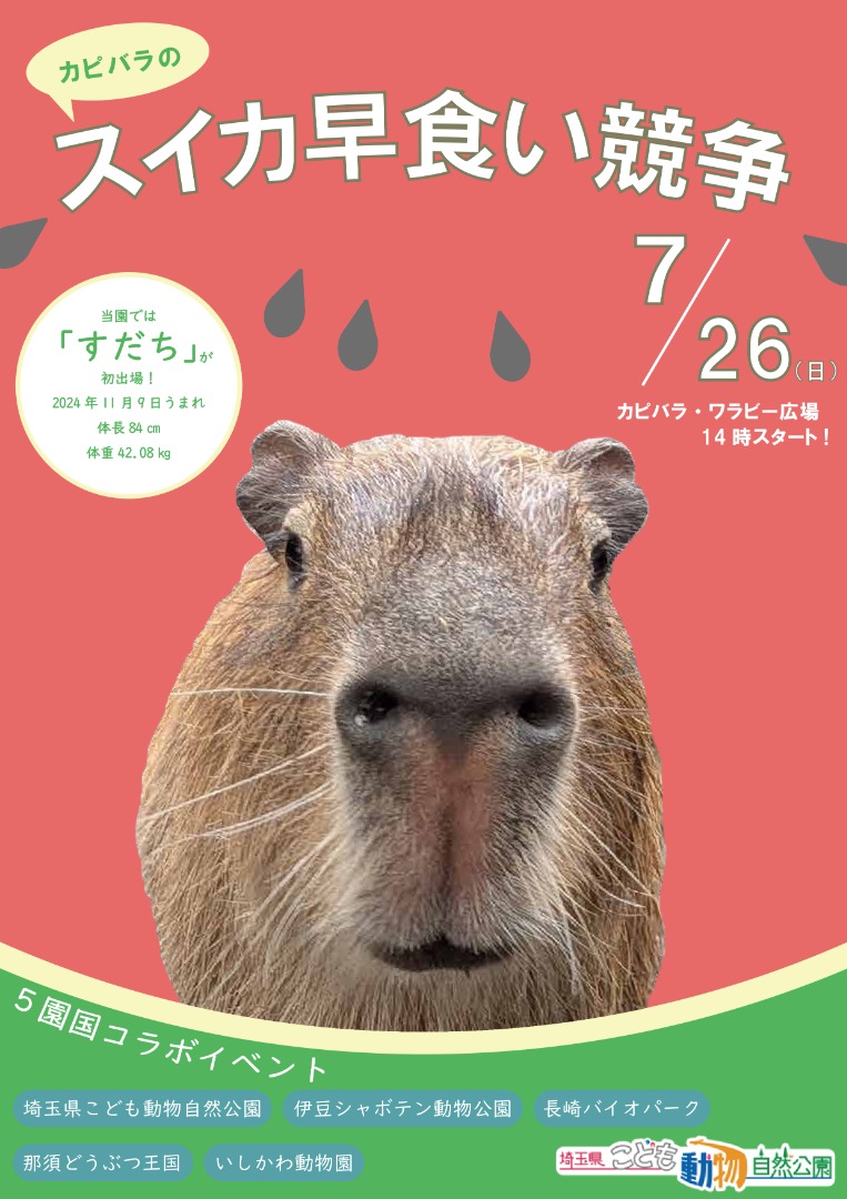 ポスター