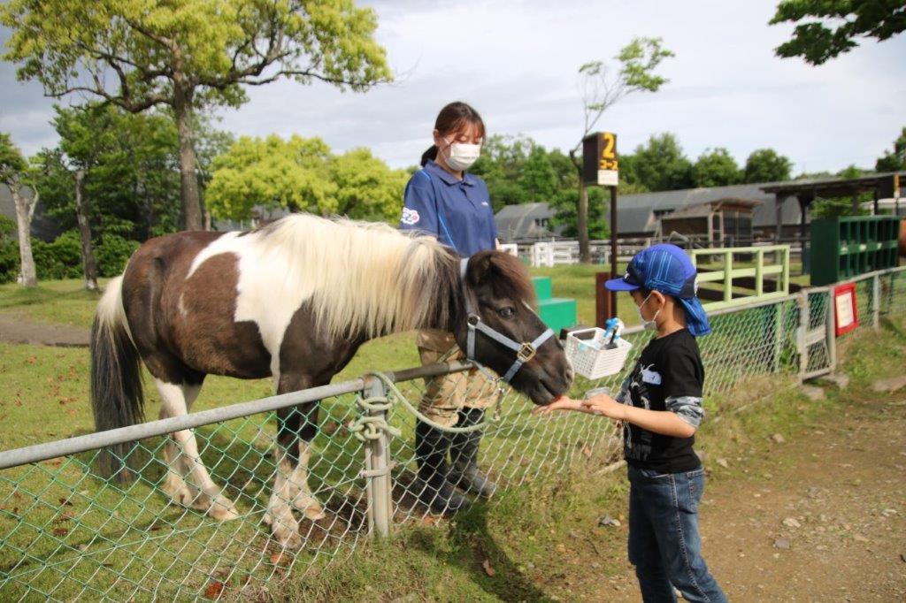 ポニー乗馬コーナー