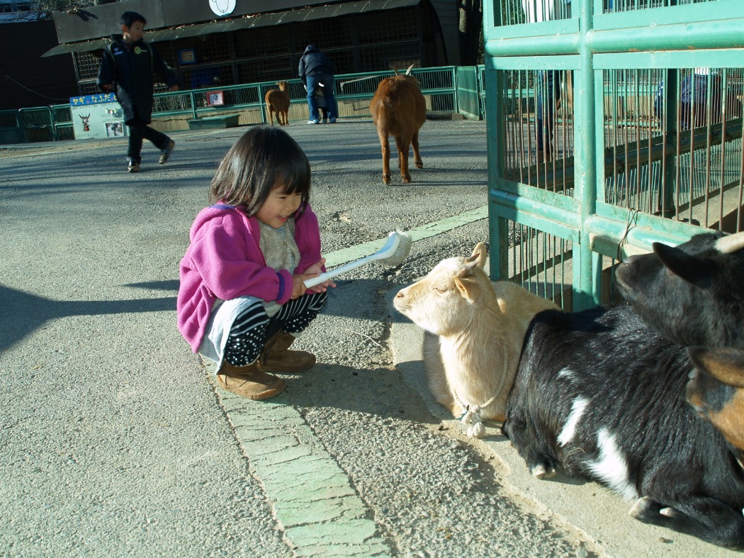 なかよしコーナー周辺エリア 埼玉県こども動物自然公園 公益財団法人埼玉県公園緑地協会