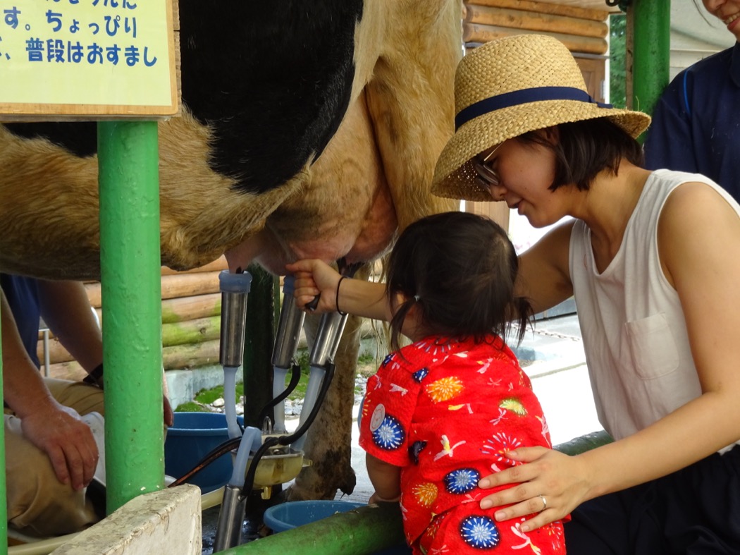 埼玉縣兒童動物自然公園 學習體驗豐富