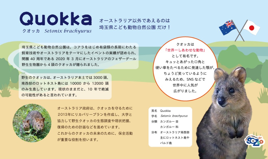 クオッカのパネル