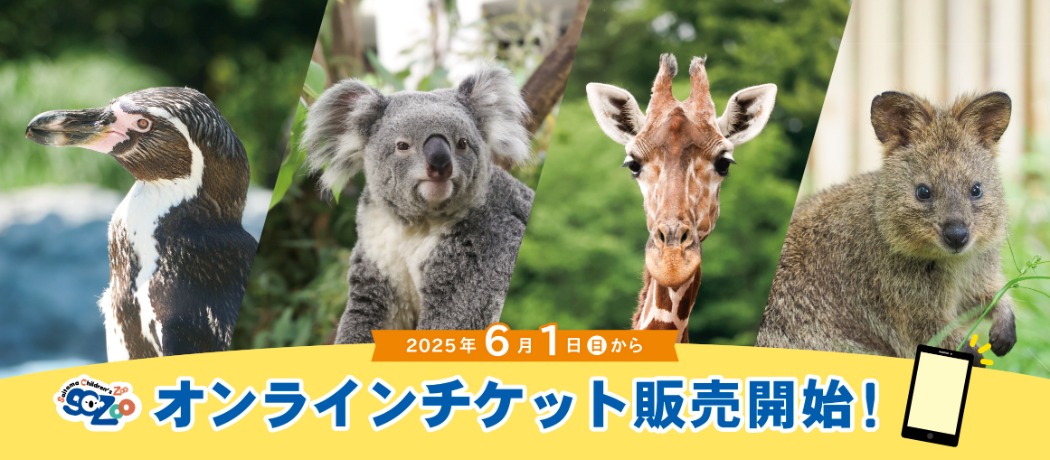 購入ページは画像をクリック!(※6月1日から)