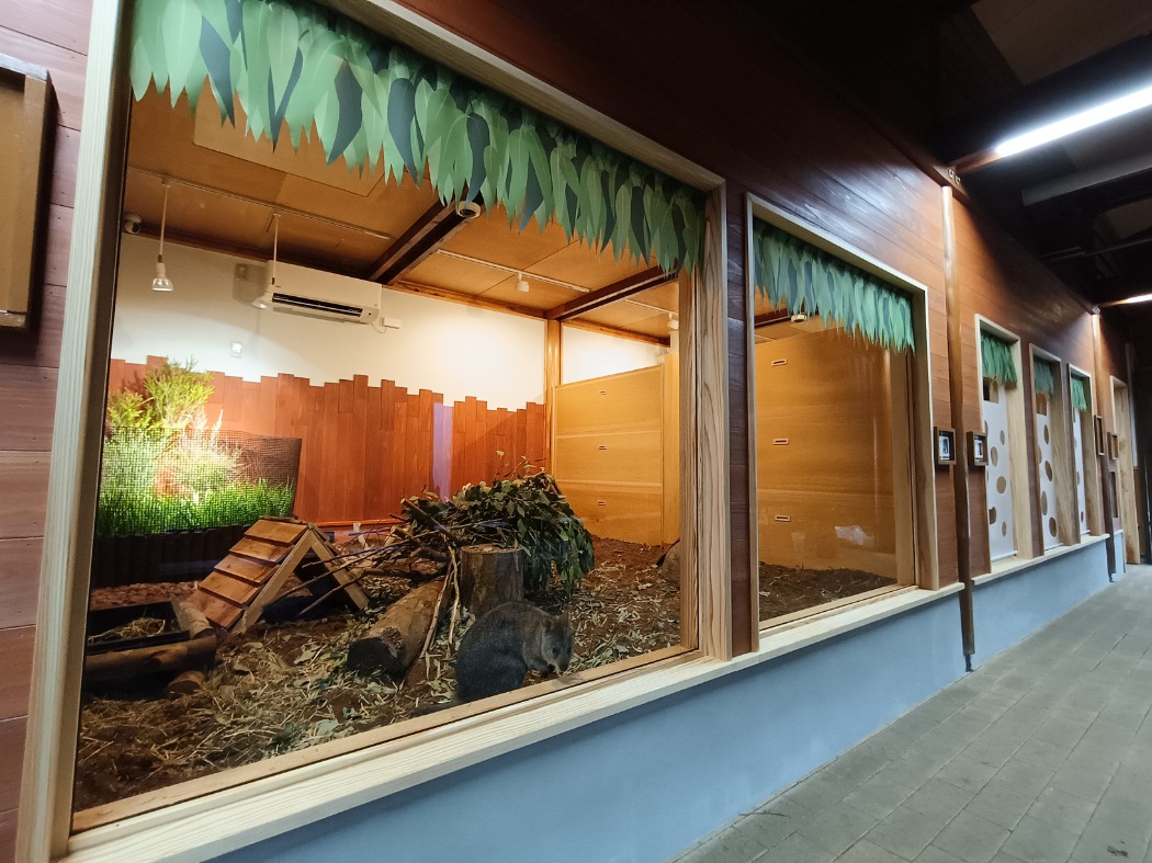 クオッカ屋内展示室 クオッカ屋内展示室の様子