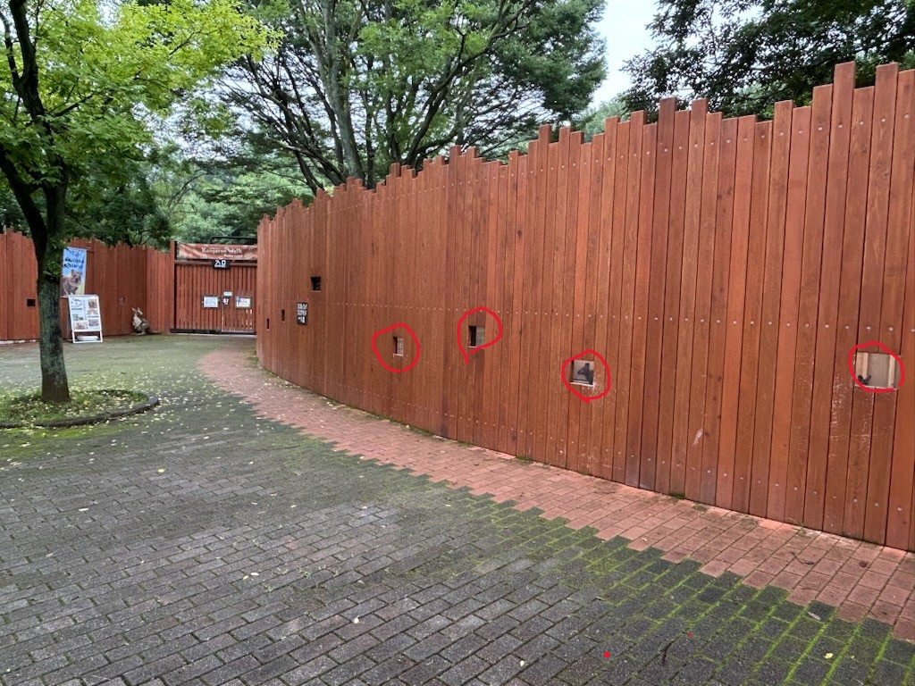 キャプション(編集は画像ボタンから) ここから見えます
