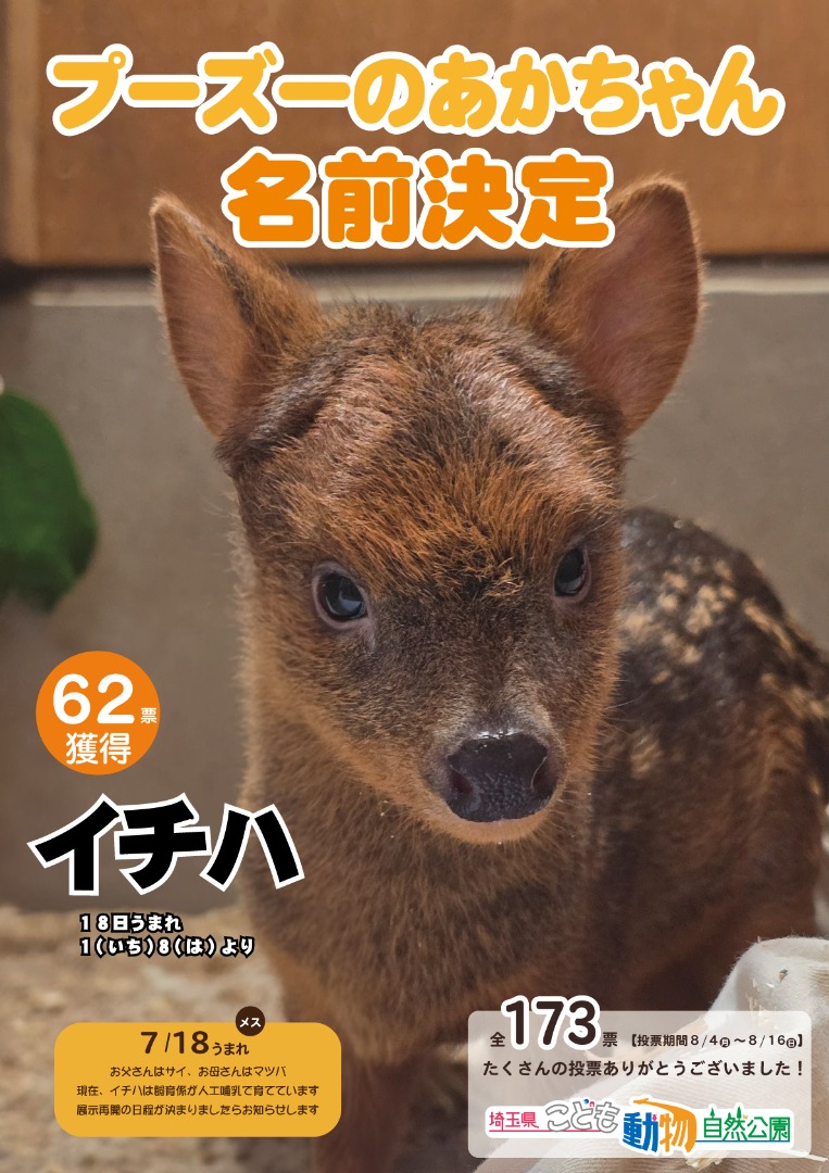発表ポスター