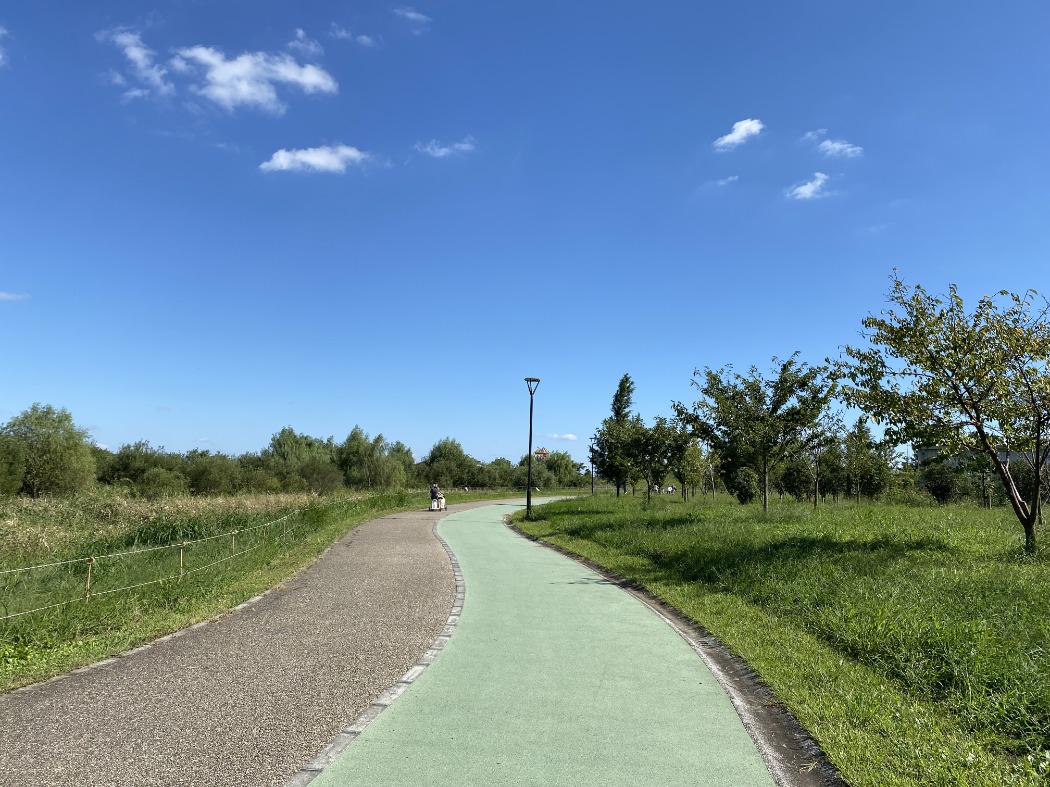キャプション(編集は画像ボタンから) レンタル自転車
