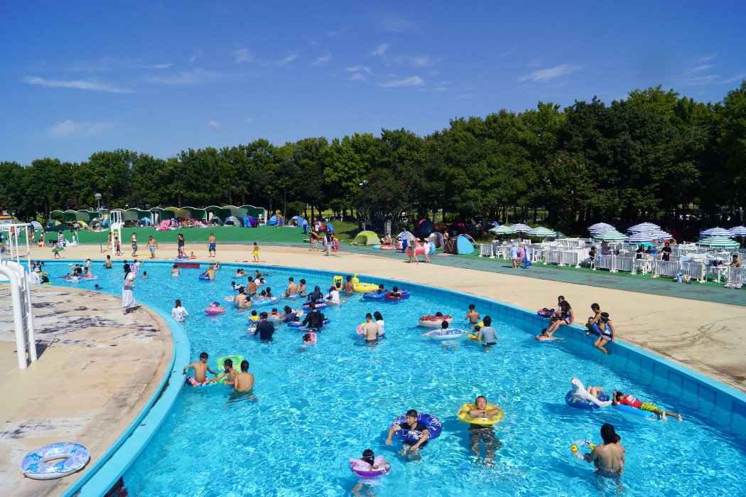 白鹿園水上公園 大人和小孩都能享受的游泳池