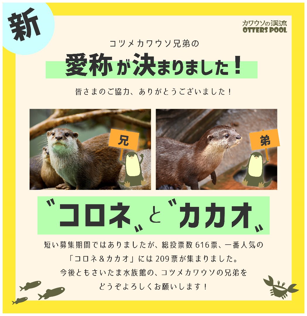 コツメカワウソ兄弟の愛称が決まりました 羽生水郷公園 さいたま水族館 公益財団法人埼玉県公園緑地協会