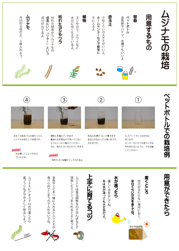 育て方プリント