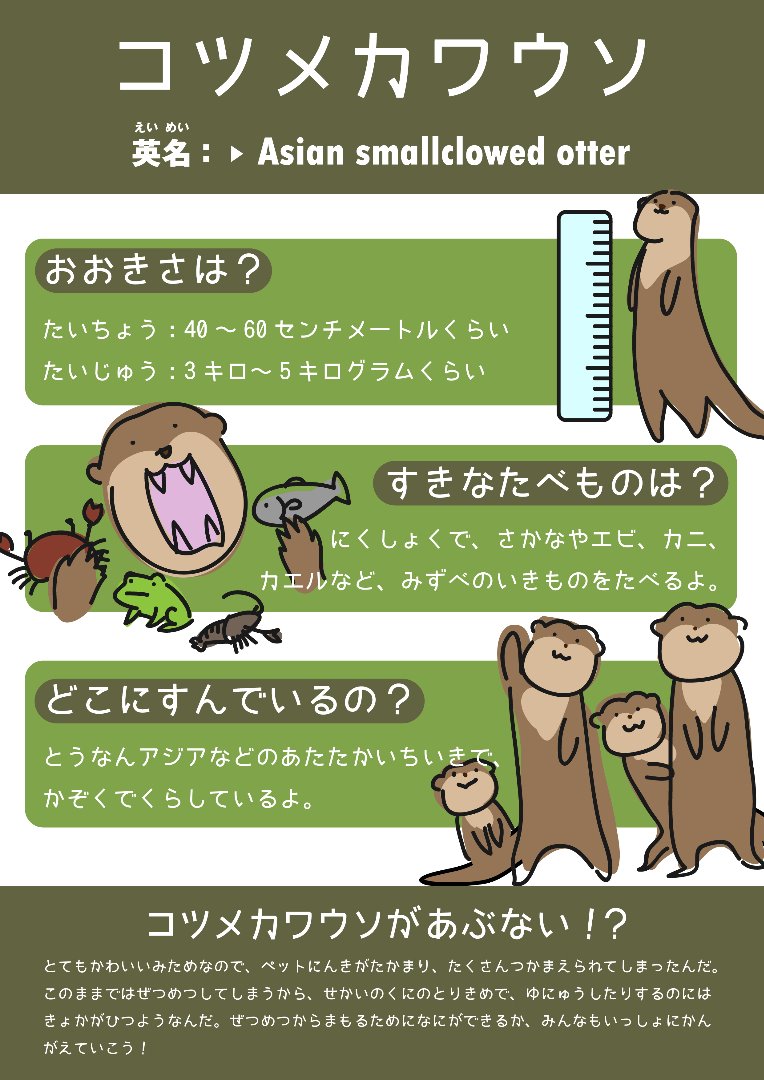 コツメカワウソについて