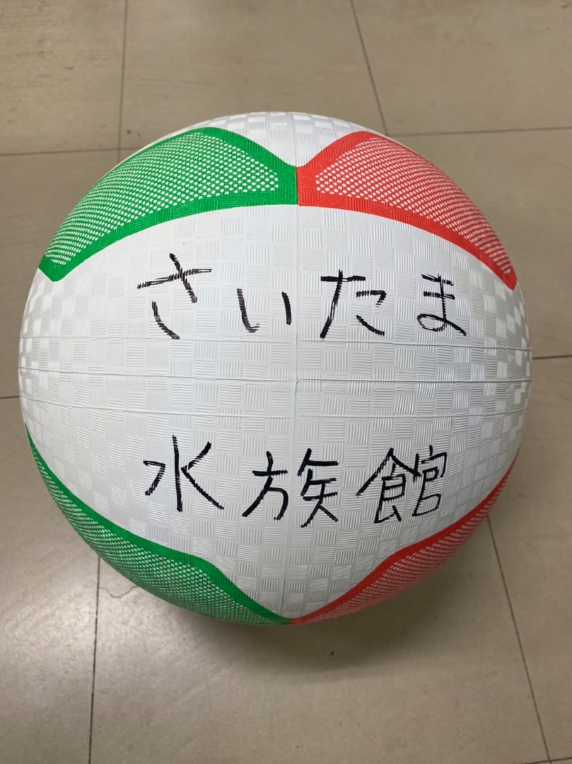 ソフトバレーボール