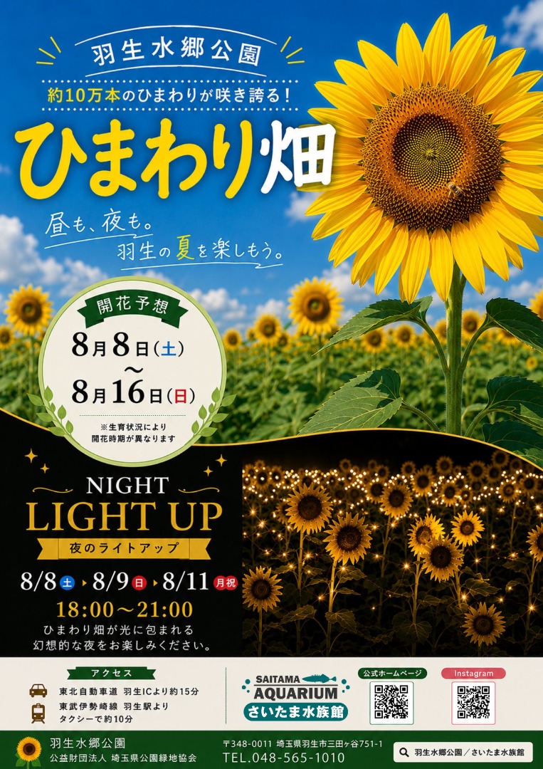 ひまわり