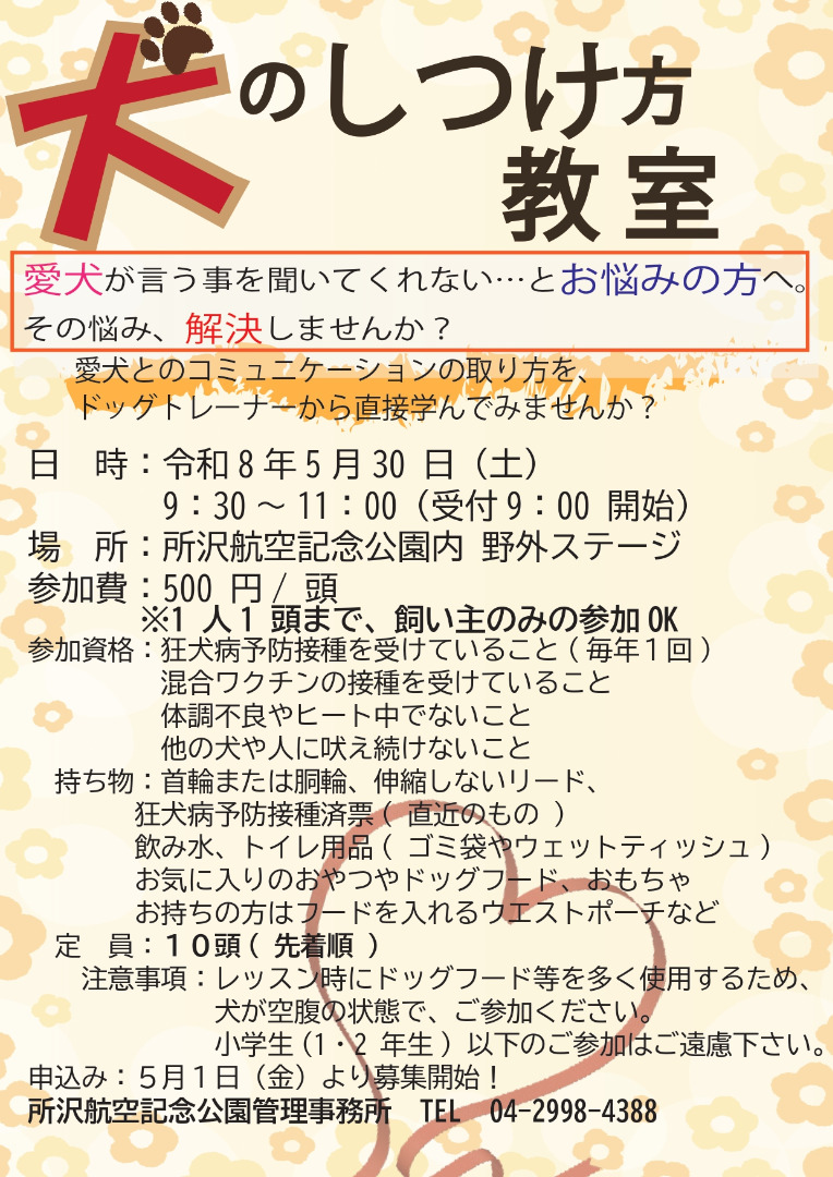 チラシ