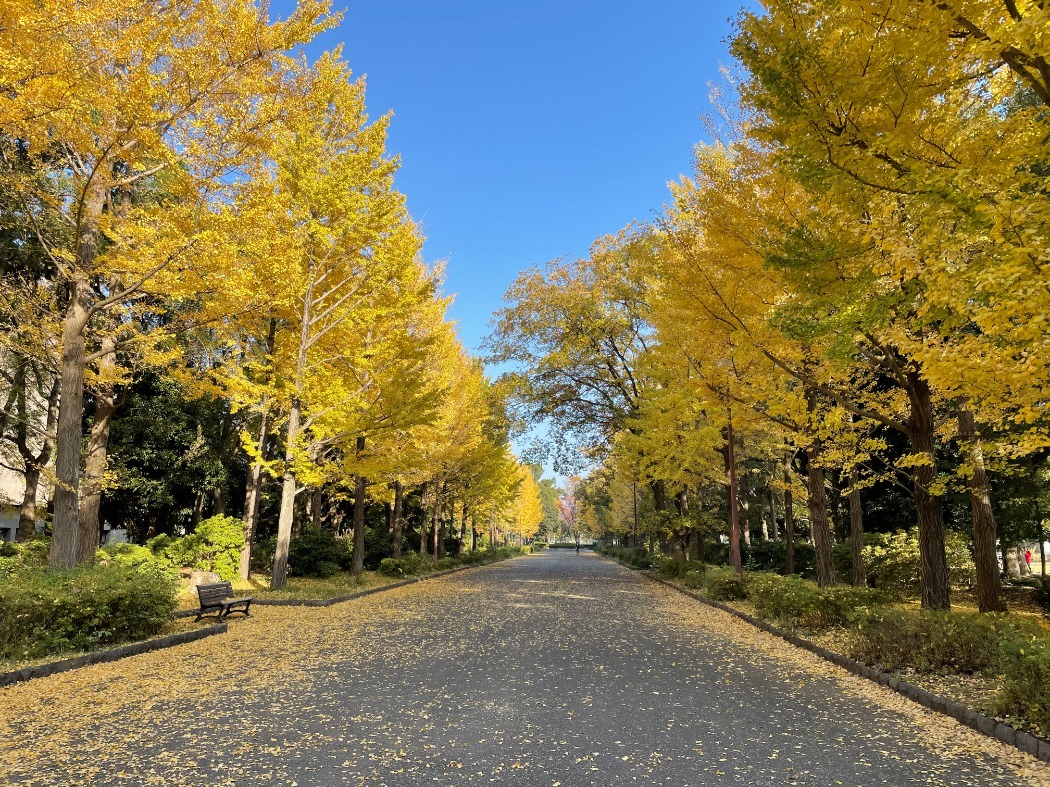 キャプション(編集は画像ボタンから) C