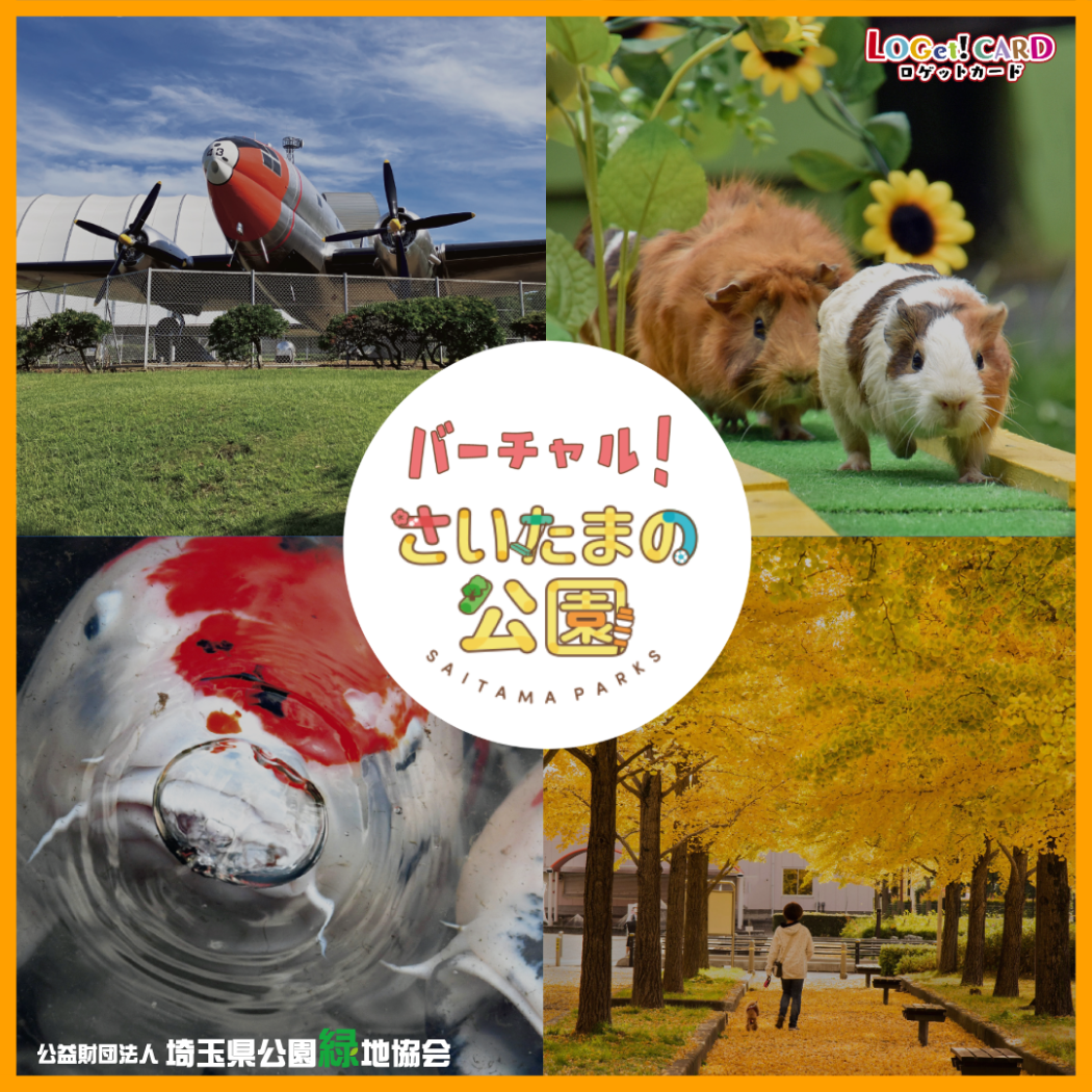 キャプション(編集は画像ボタンから)