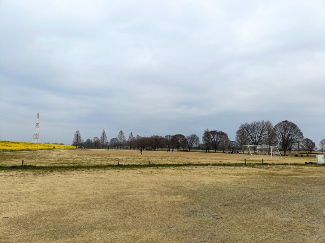 サッカー場